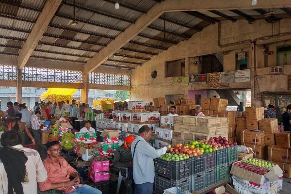 Soil Testing Lab Shut for Over a Year at Nagpur Market Yard: Farmers Left in the Lurch