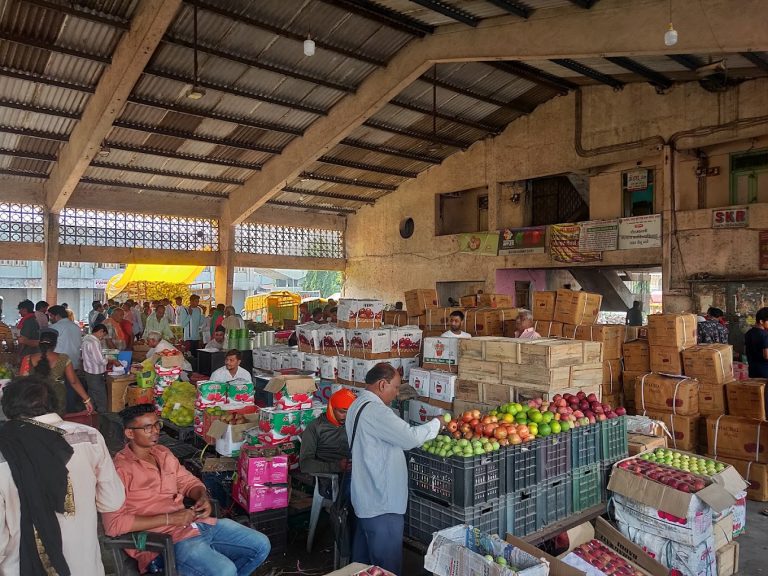Soil Testing Lab Shut for Over a Year at Nagpur Market Yard: Farmers Left in the Lurch